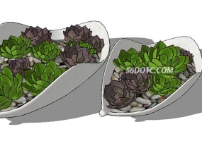 多肉植物-SketchUp草图大师模型