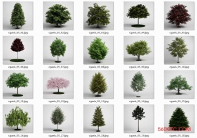 20棵VRay For SketchUp代理树VFS渲染专用