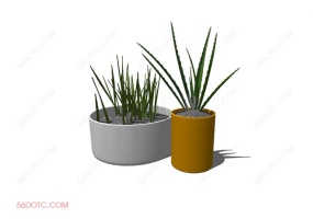 植物00084-SketchUp草图大师模型
