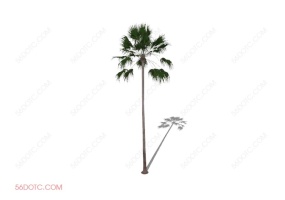 植物000213-SketchUp草图大师模型
