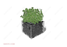 植物000251-SketchUp草图大师模型