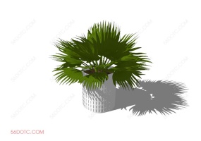 植物000252-SketchUp草图大师模型