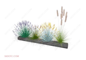 植物000253-SketchUp草图大师模型