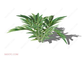 植物000254-SketchUp草图大师模型