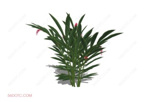 植物000256-SketchUp草图大师模型