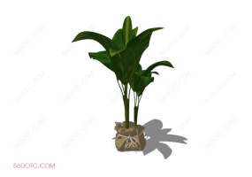 植物000257-SketchUp草图大师模型