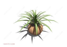 植物000377-SketchUp草图大师模型