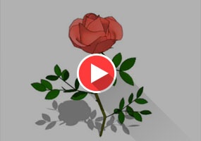 SketchUp玫瑰花建模教程