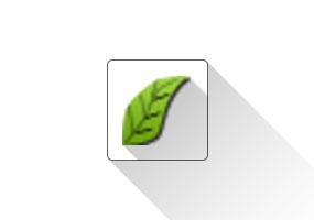 Liveivy (藤蔓插件)SketchUp插件 草图大师中文插件