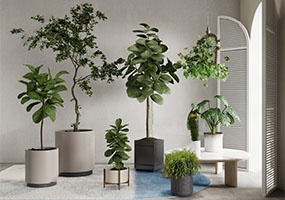 盆栽植物22052203-SketchUp草图大师模型_Enscape材质